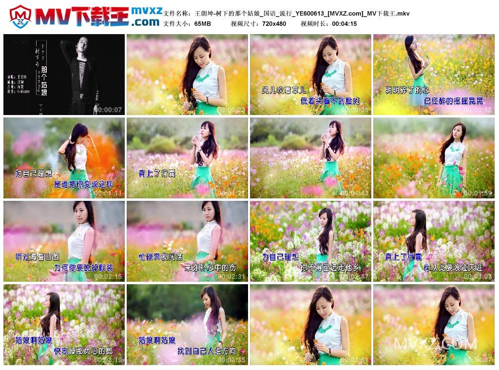 王朗坤-树下的那个姑娘_国语_流行_YE600613